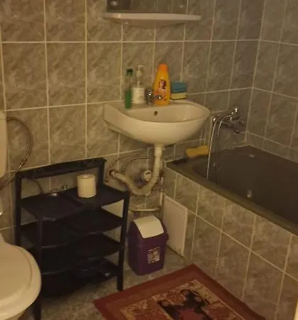 Apartment Ioana *
