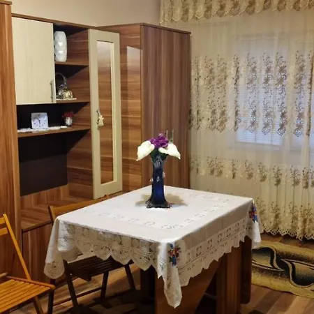 Ioana 蒂米什瓦拉