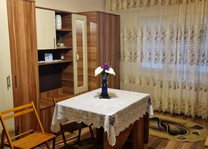 Ioana 蒂米什瓦拉