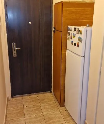 公寓 Ioana 蒂米什瓦拉