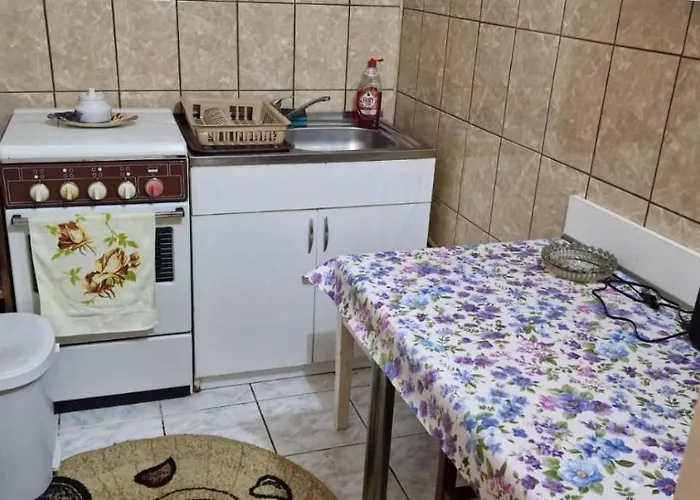 Ioana 公寓 蒂米什瓦拉